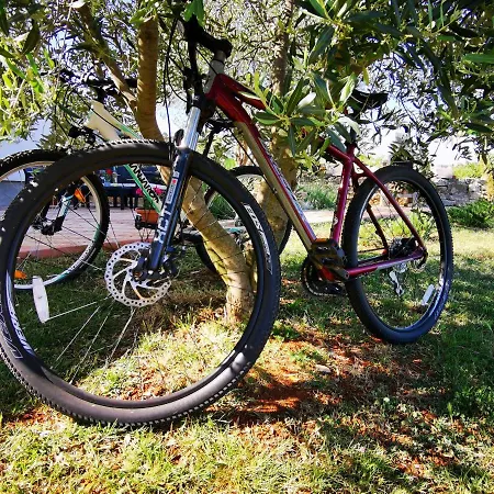 Ulika شقة Marčana